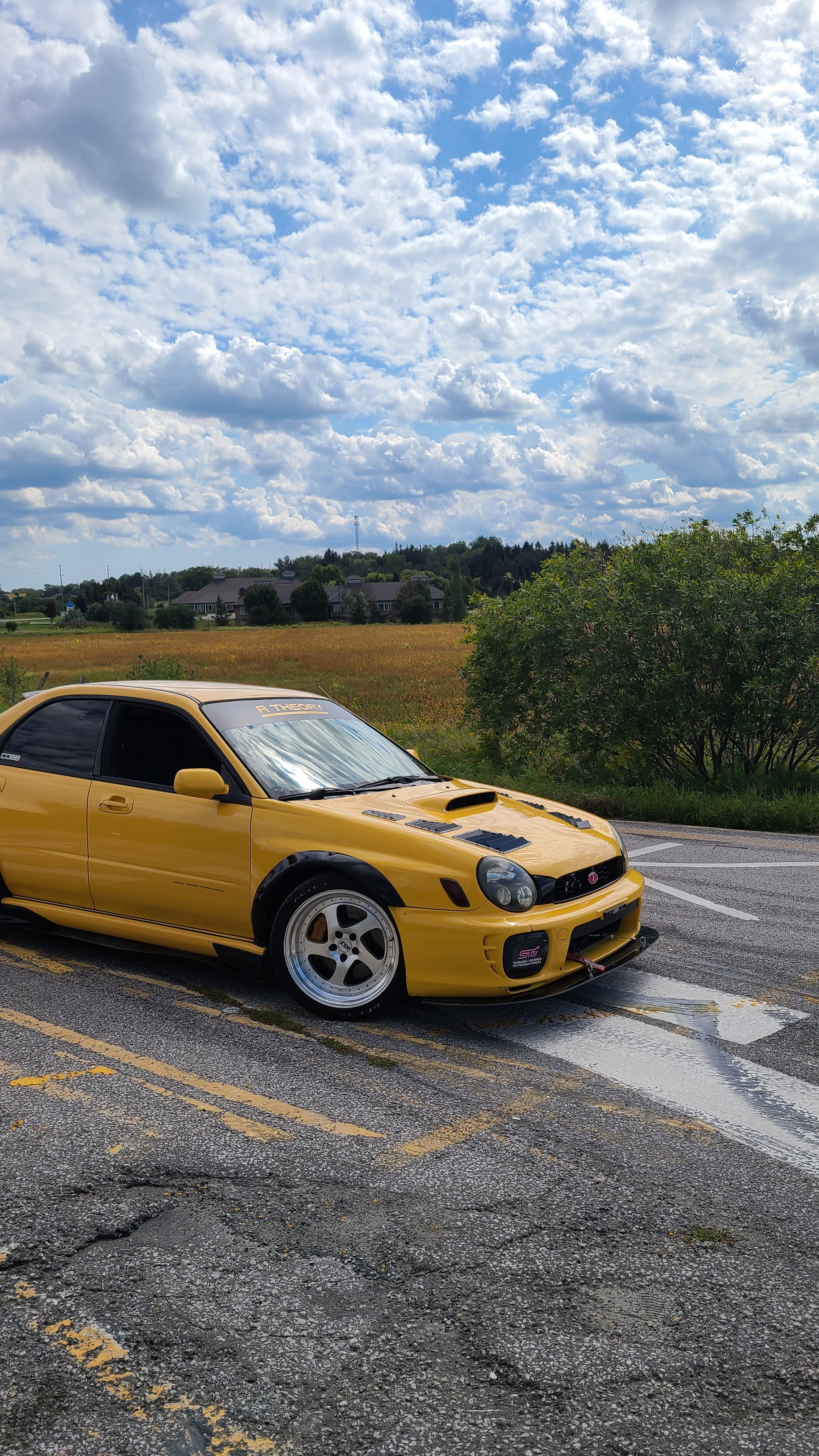 Bug Eye Impreza Hood Vents
