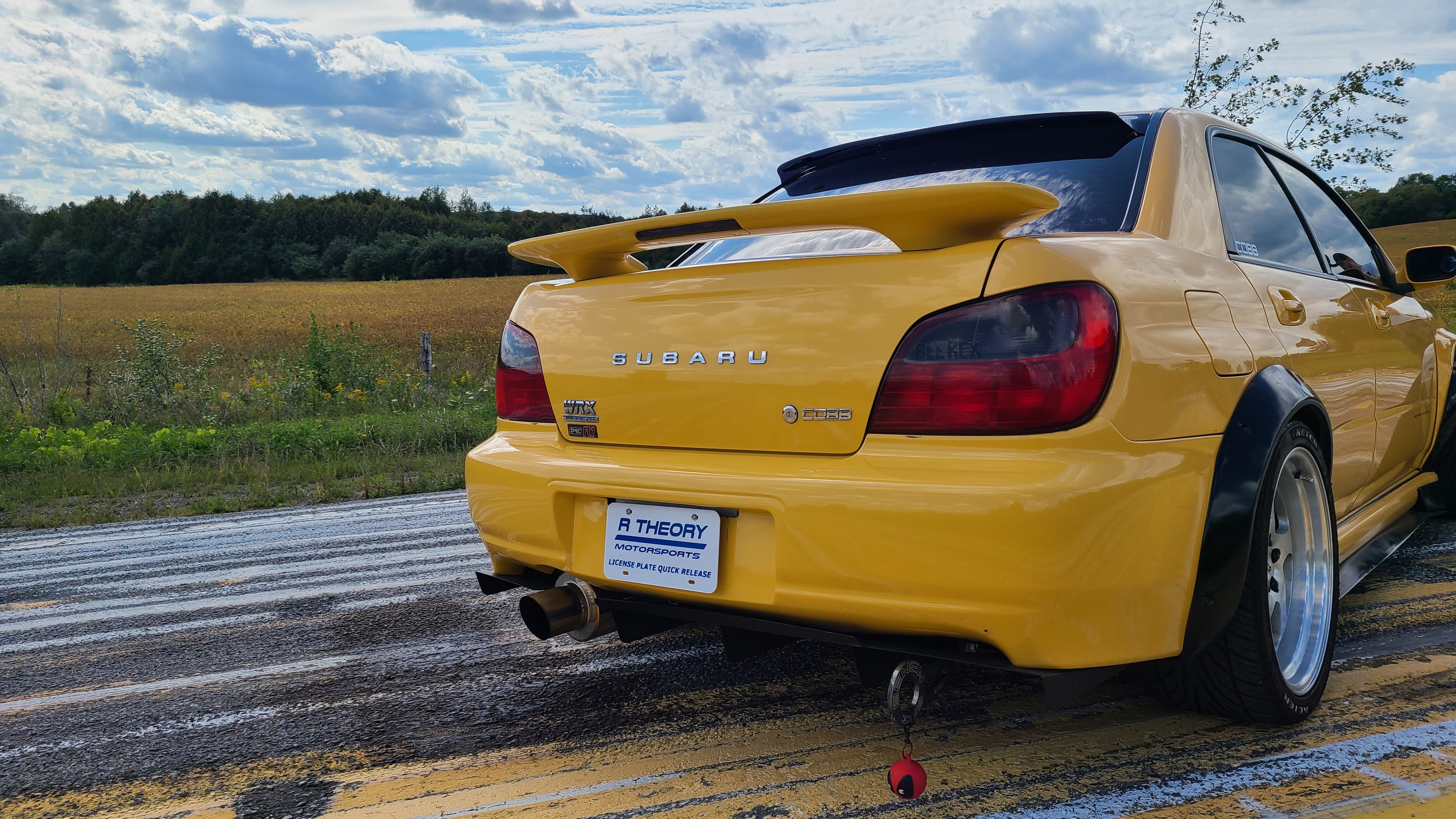 Bug Eye Impreza Hood Vents