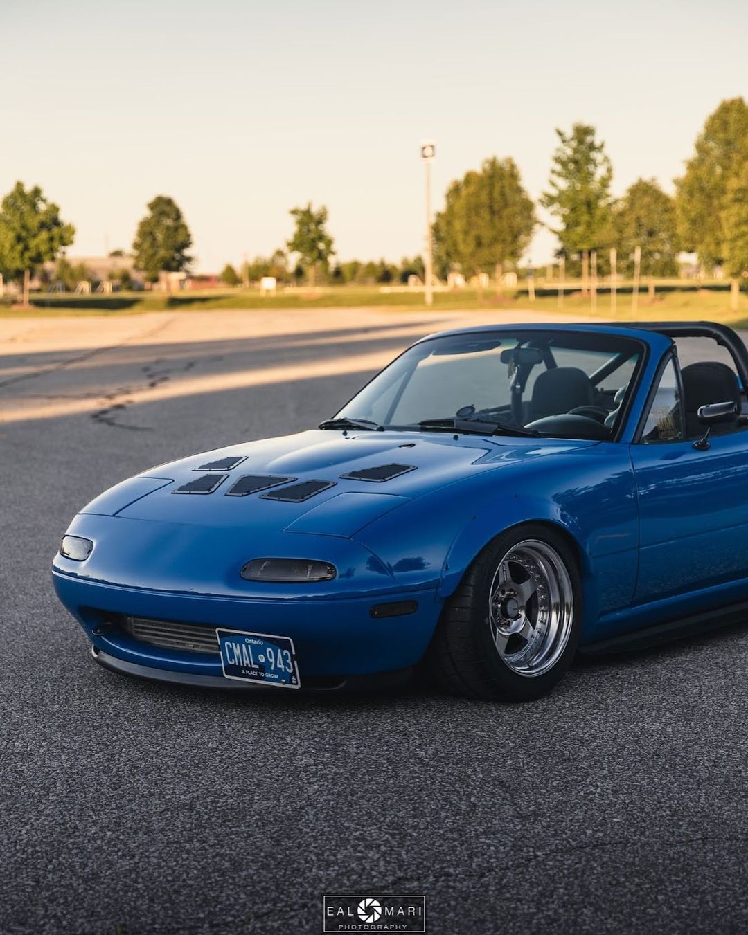 NA 3 PANEL HOOD + FENDER VENT COMBO